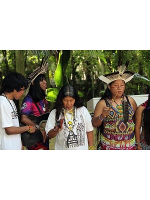 Festival Indígena 2022 005